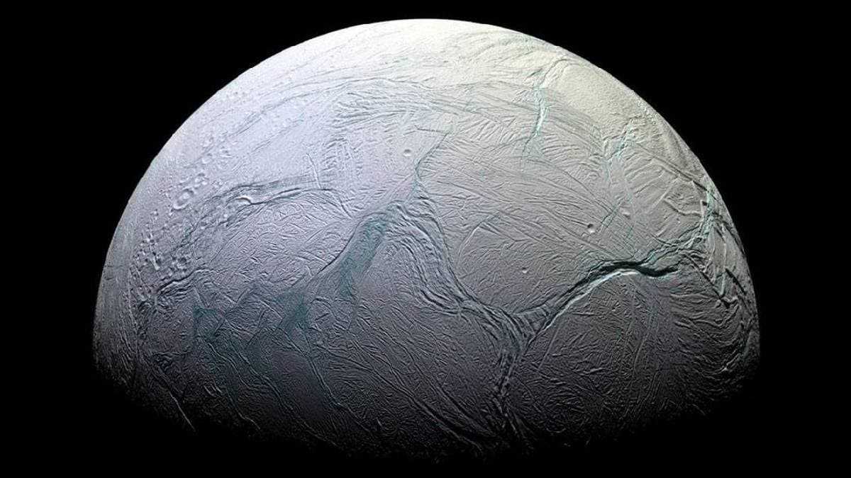 Enceladus koşulları bazı mikroorganizmaları destekleyebilir