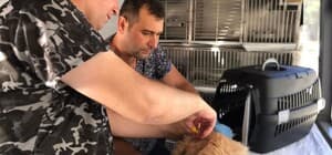 Can Dost’un yeni rotası belli oldu