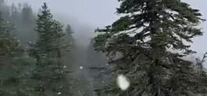 Uludağ'a kar yağdı