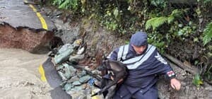 Jandarma sel bölgesinde canla başla mücadele ediyor