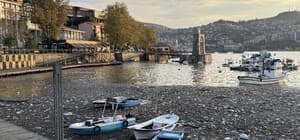 Limanda şaşırtan görüntü