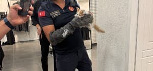 İtfaiye ekipleri duvarda mahsur kalan kedi ile parmaklıklara sıkışan köpeği kurtardı
