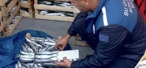 Mersin'de yasa dışı balık avcılığına karşı denetimler sürüyor