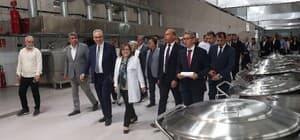 Gaziantep’te uygun fiyatlı et satışı başlıyor