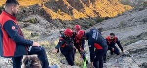 Tunceli’de kayalıklarda mahsur kalan keçileri AFAD kurtardı