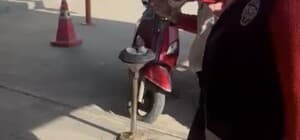 Kediye taşla vuran kadın yakalandı