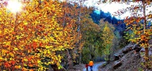 Kahramanmaraş'ta sonbahar renkleri: Göksun manzarasıyla büyülüyor