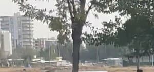 Siverek’te otomobil ağaca ok gibi saplandı: 3 yaralı