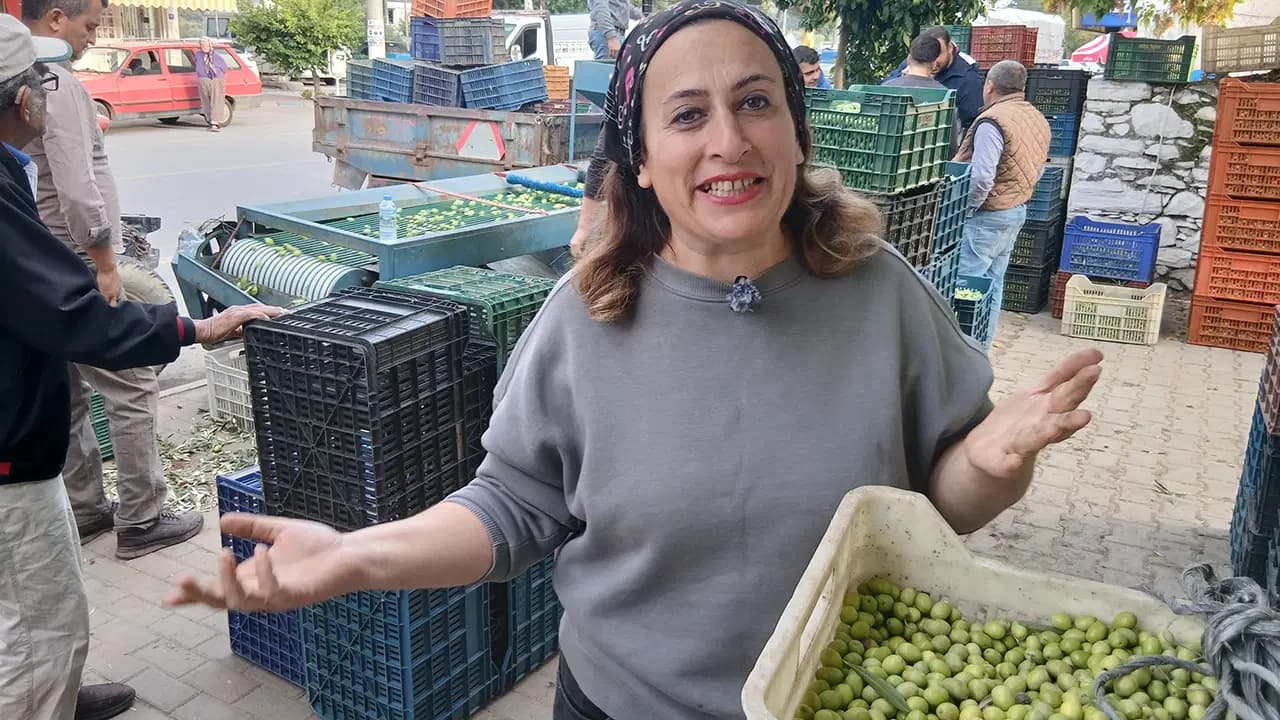 Yetkililere seslendi... Zeytin tüccarından zeytin fiyatlarına tepki: 'Köylü biterse herkes biter'