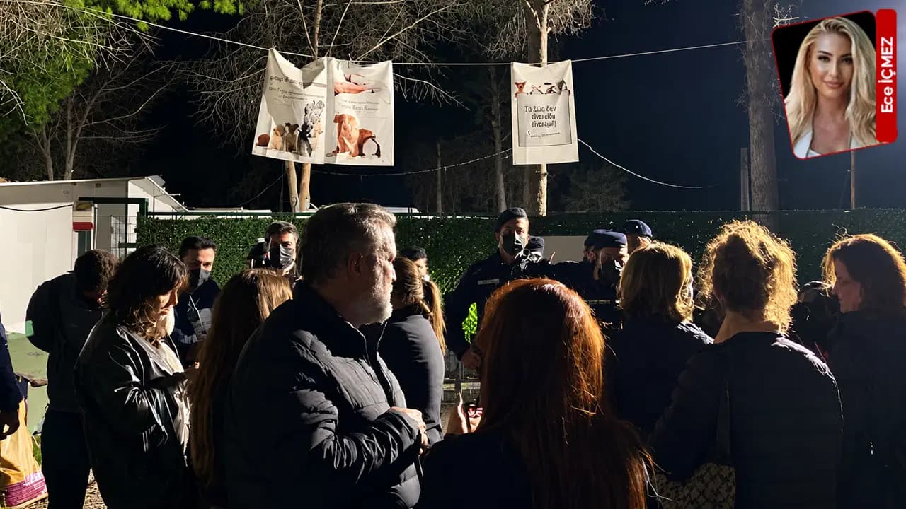 Ege Üniversitesi'nde gece yarısı köpekler toplatıldı... Bornova Belediye Başkanı Ömer Eşki'den açıklama geldi: 'Talimatı kaymakamlık verdi'