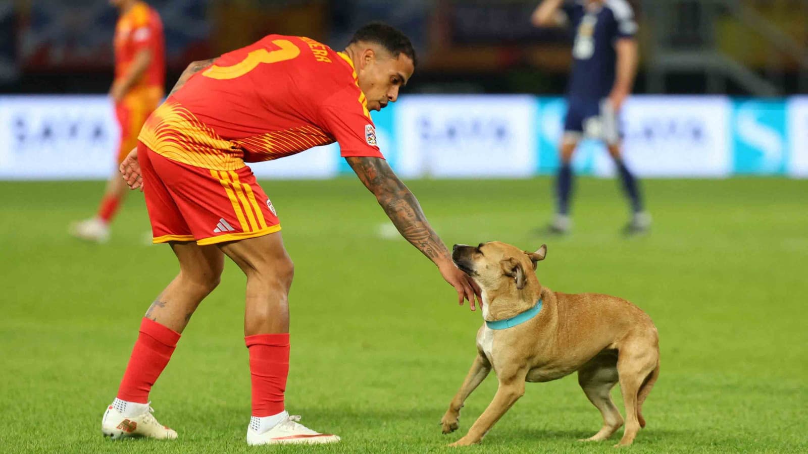 Kuzey Makedonya-İskoçya maçında sahaya köpek girdi