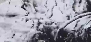 Muğla’ya sezonun ilk karı yağdı