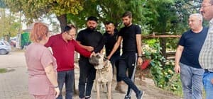 Başmakçı’da evcil hayvanlar kimliklendiriliyor