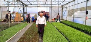 Başkan Güler: "500 bin fidemizi üreticilerimize ücretsiz dağıtacağız"
