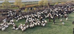Van ve Bitlis’te göçerlerin dönüş yolculuğu başladı