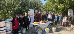 Kahramanmaraş'ta ayva üreticilerine hasat desteği