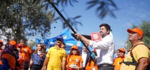 Tarsus'ta zeytinler lösemili çocuklar için toplandı