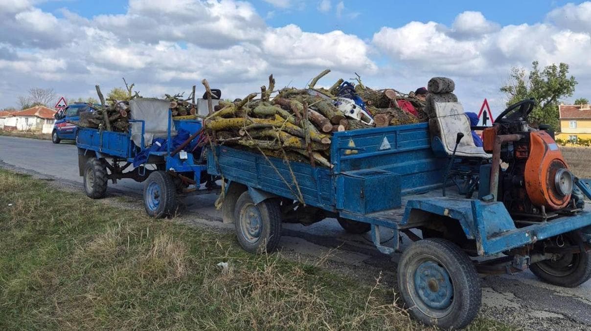Edirne’de hazine arazisinden odun kesen 2 kişiye 20 bin lira ceza
