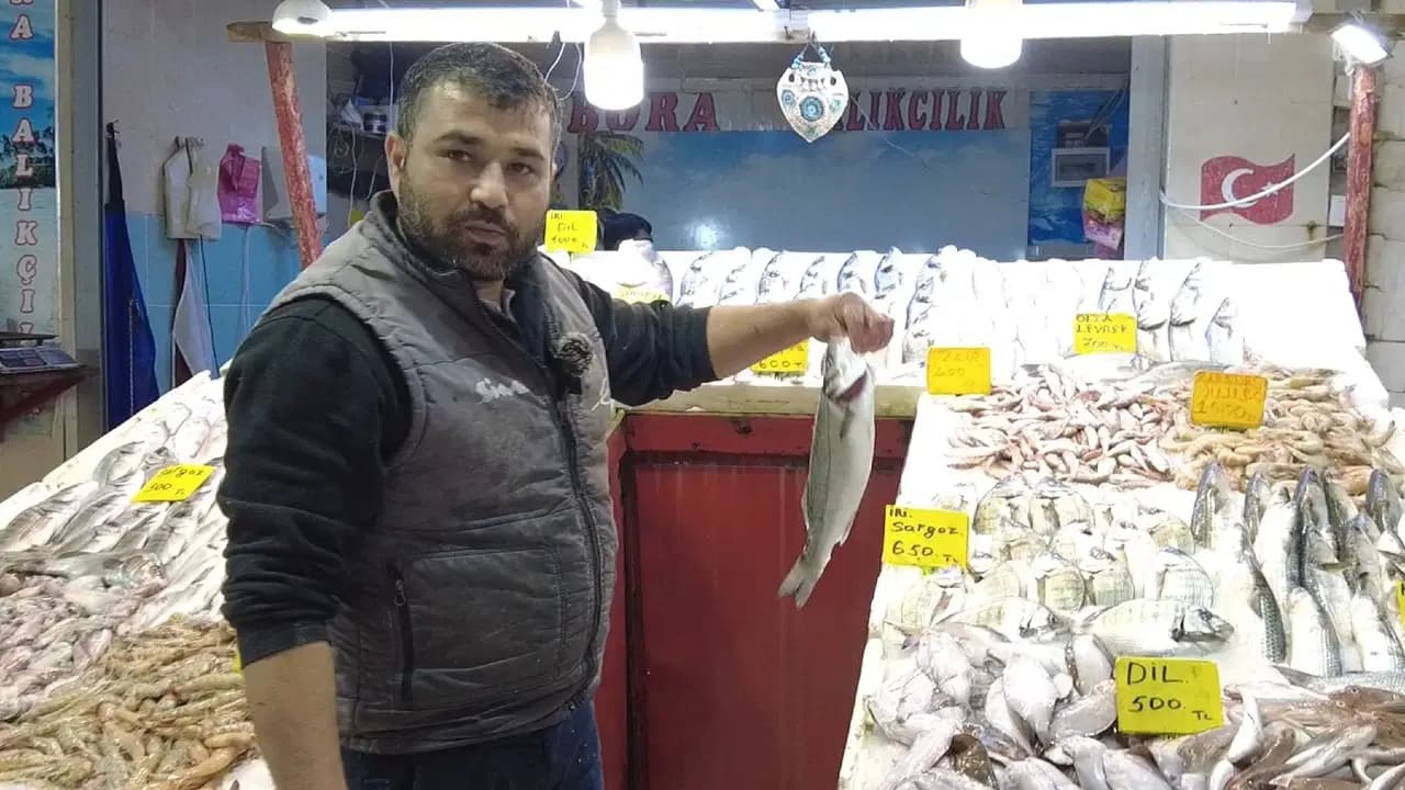 Palamut frene bastı, Marmara'nın 'efendisi' geri döndü! Tanesi 400 liradan tezgaha indi...